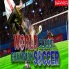 World Class Champion Soccer
